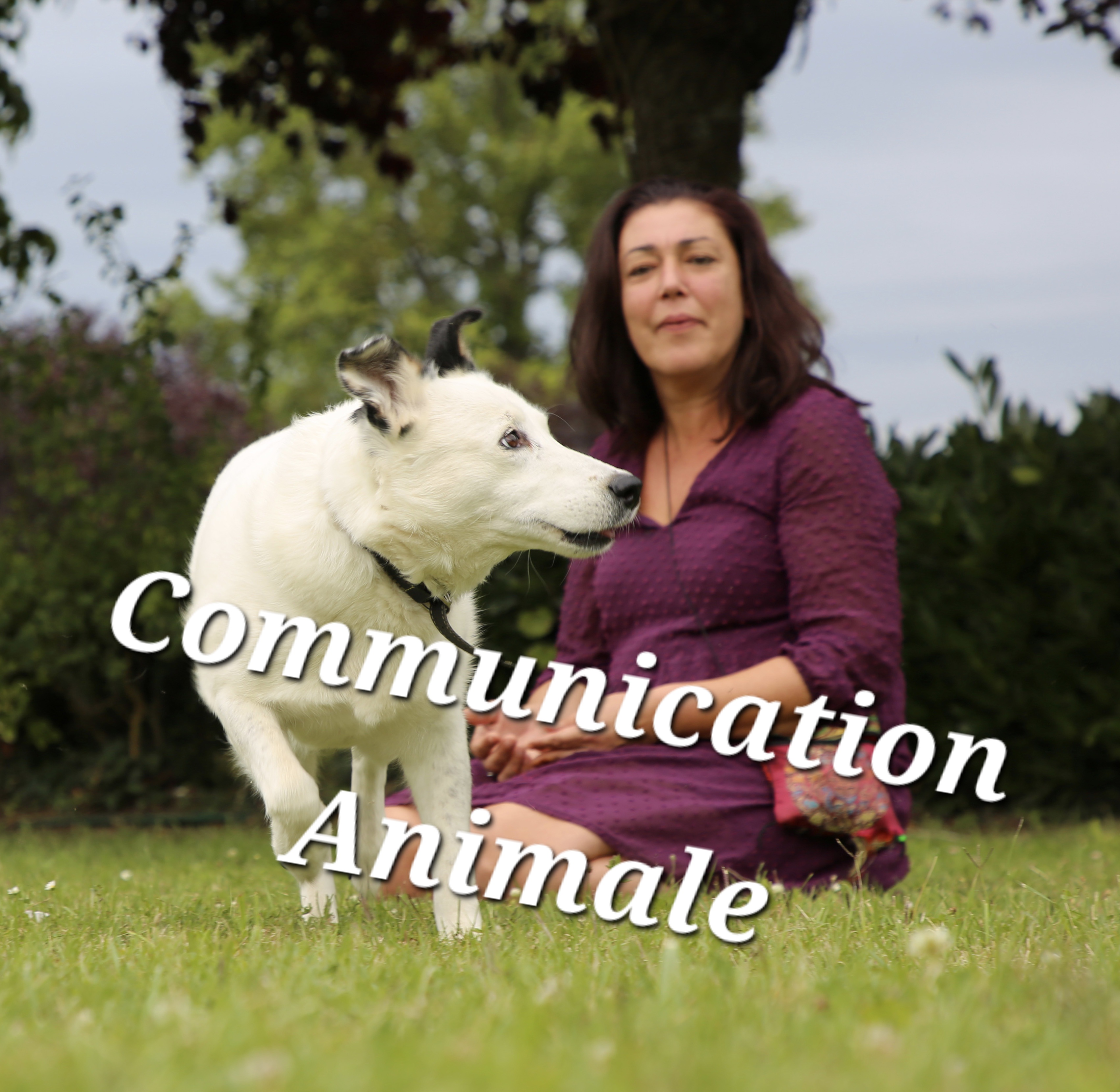 Conférence Communication Animale à Baugé Le 10 oct 2024