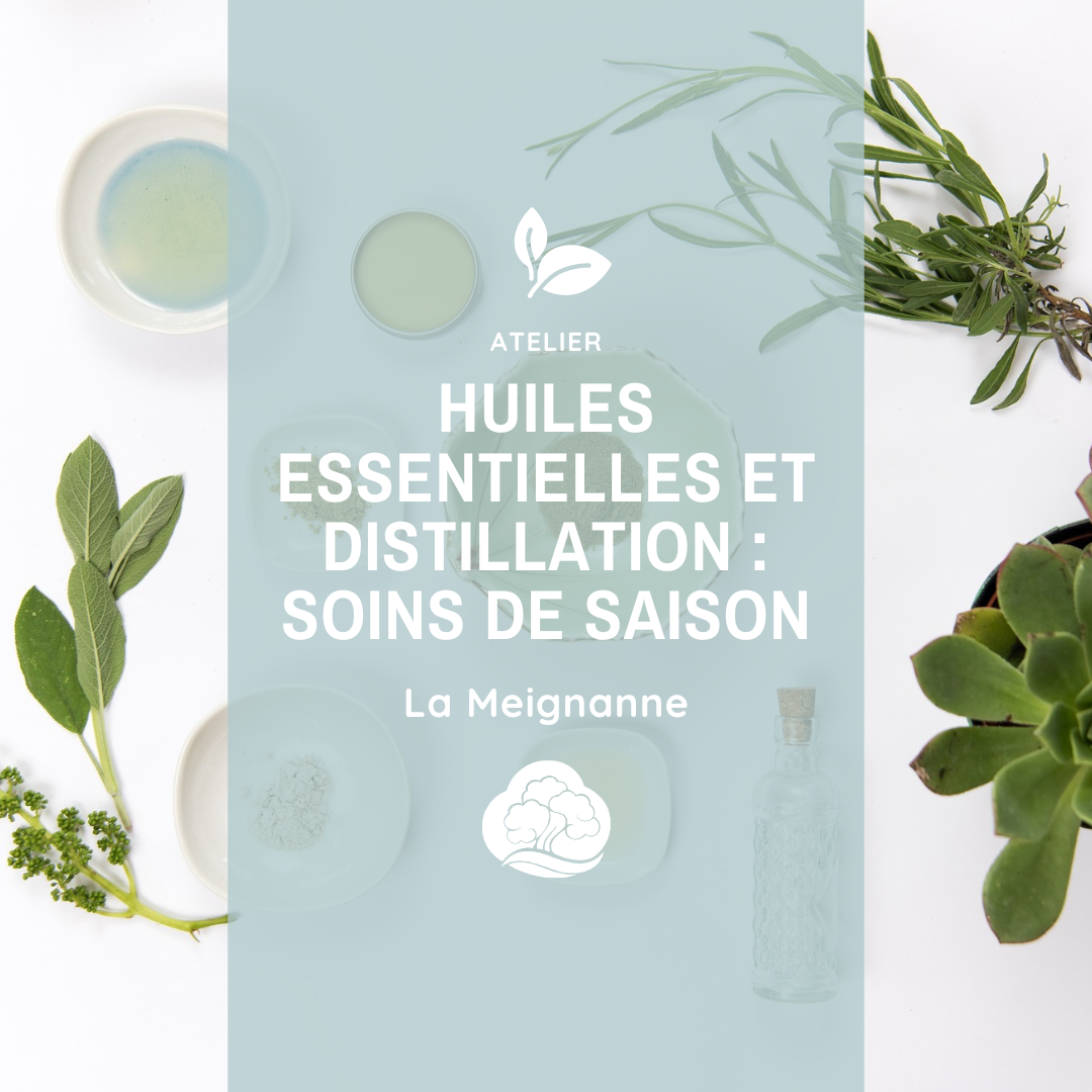 Atelier : Huiles Essentielles Le 21 sept 2024