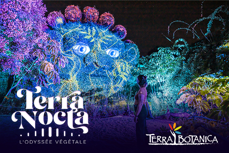 Terra Nocta