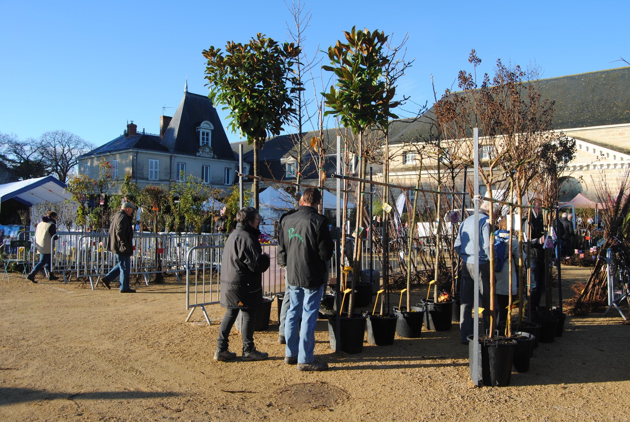 Les Pépifolies, marché aux végétaux