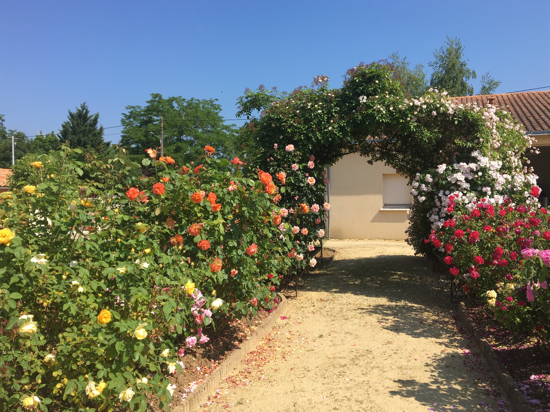 Terre de Rose Distillerie Du 21 au 22 sept 2024