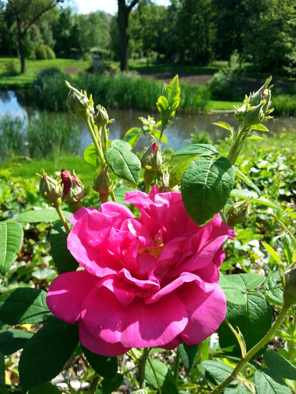 Atelier parfumerie au Jardin Camifolia Le 25 sept 2024