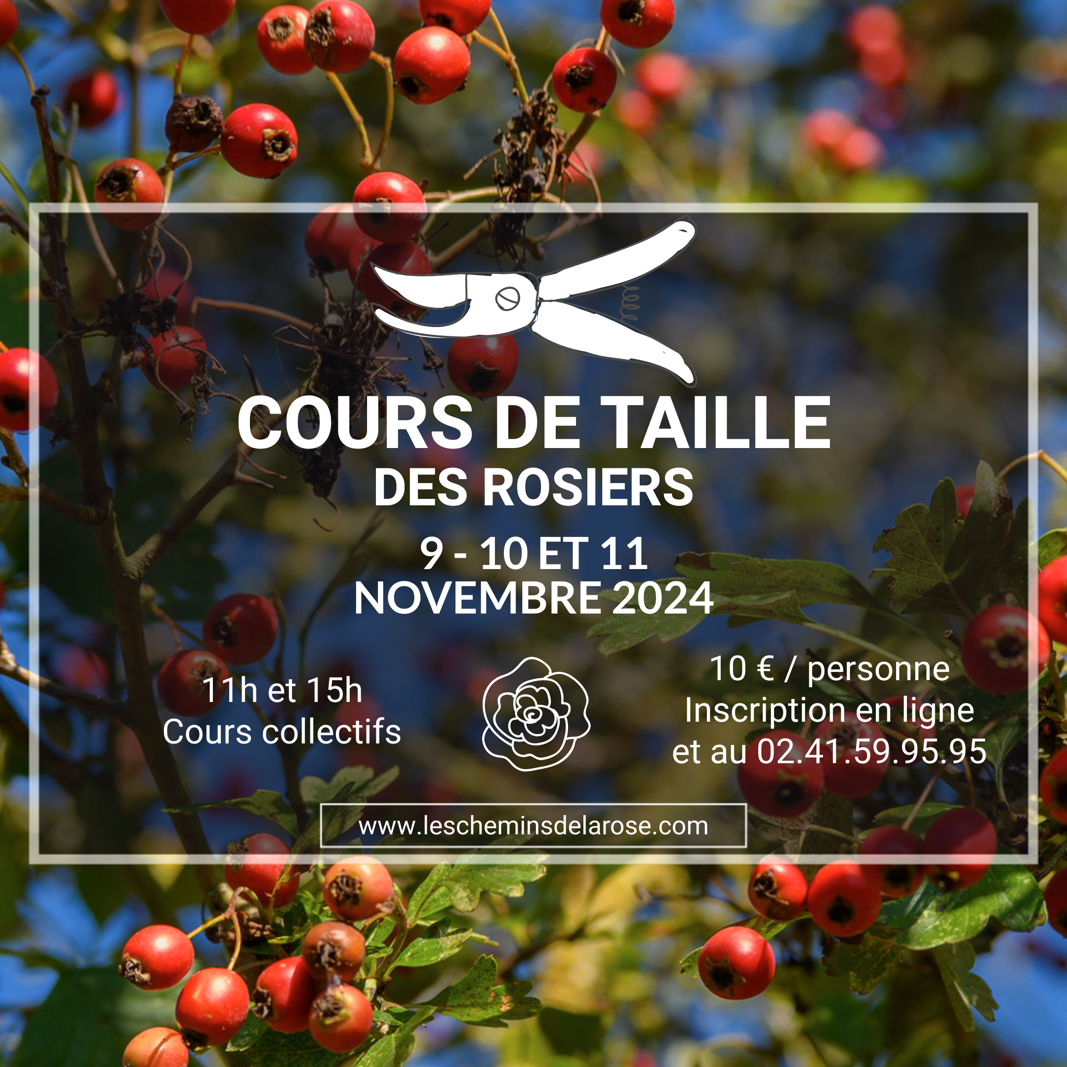 Cours de taille - Roseraie Les Chemins de la Rose