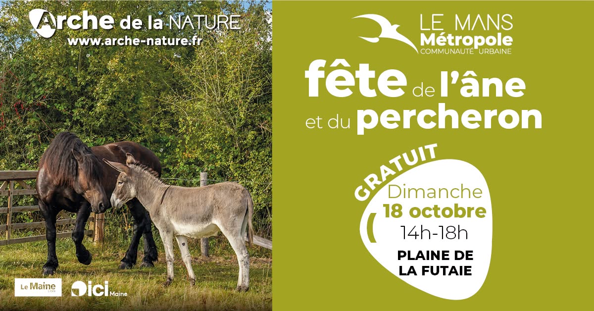 Fête de l’âne et du cheval Percheron