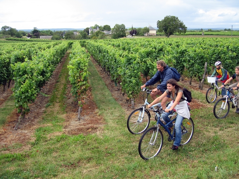 TRANSLAYON, BELLEVIGNE-EN-LAYON