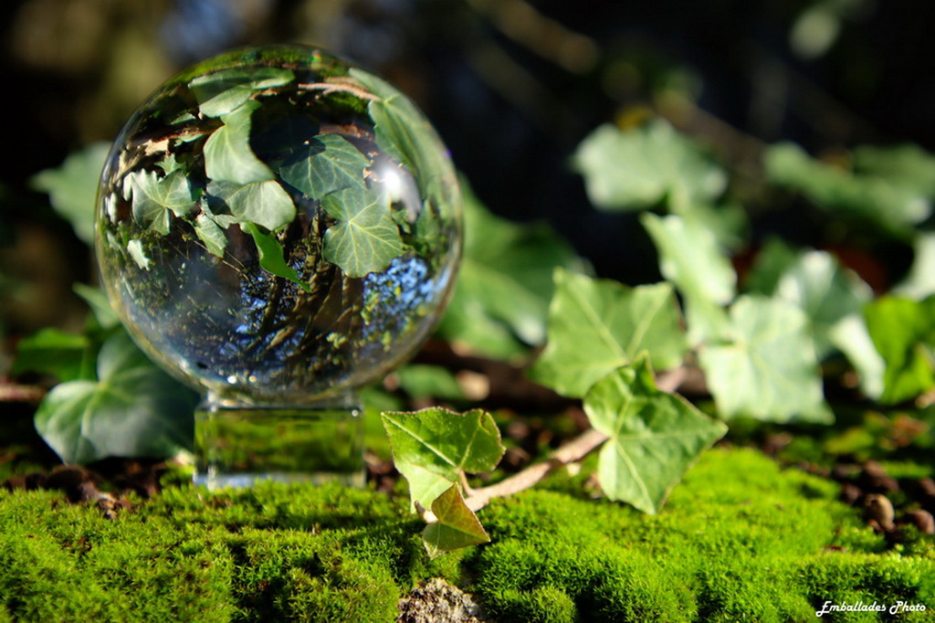 Balade photographique "spécial lensball" dans le parc... Du 30/12/2024 au 29/1/2025