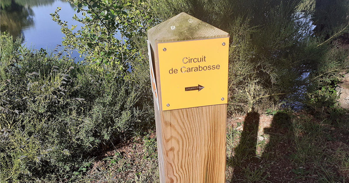 Circuit de Carabosse
