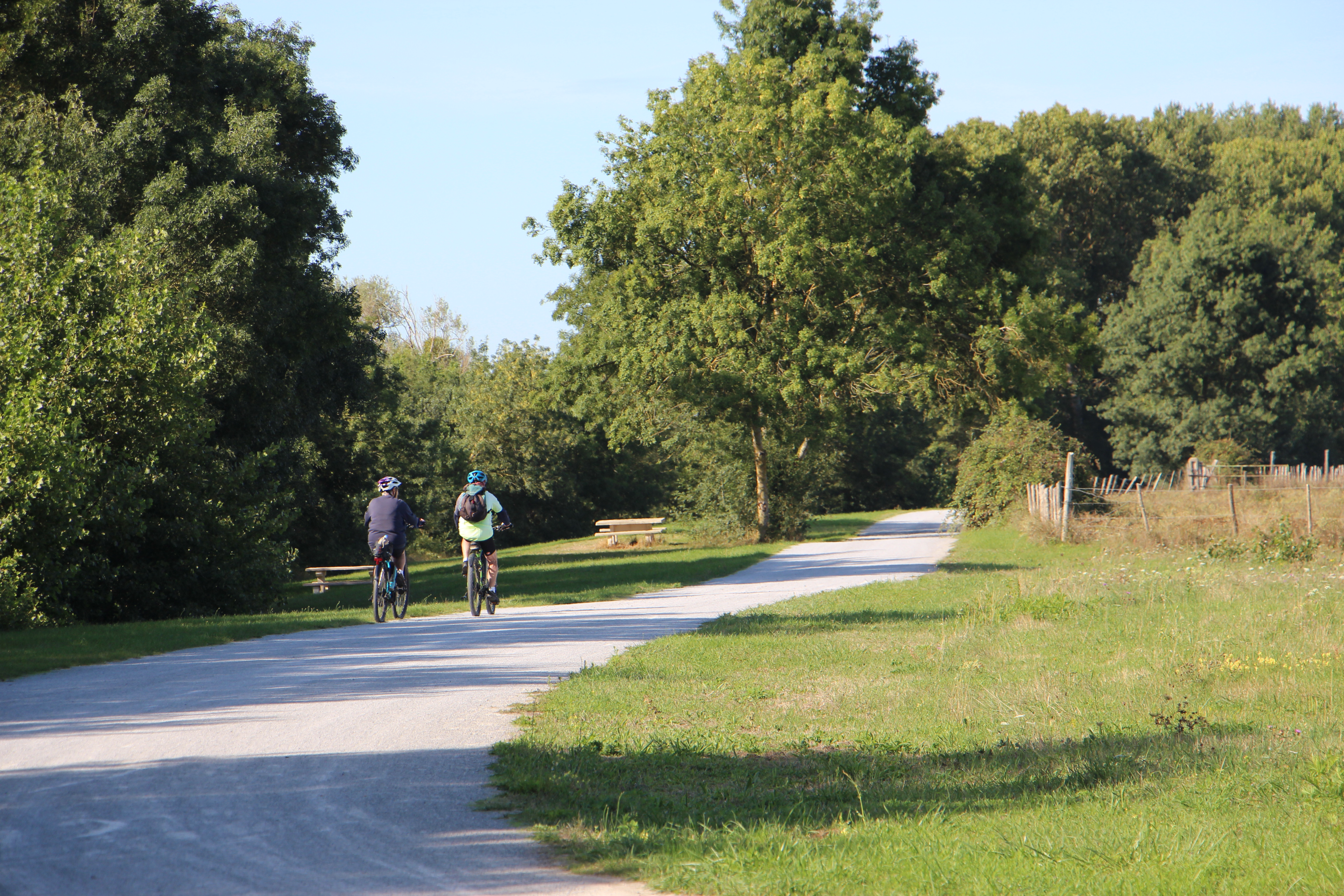 Randonnée pédestre & VTT Le 10 nov 2024