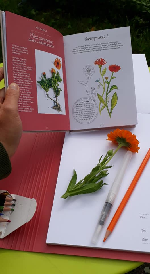 Atelier initiation au dessin botanique : autour des courges Le 21 sept 2024