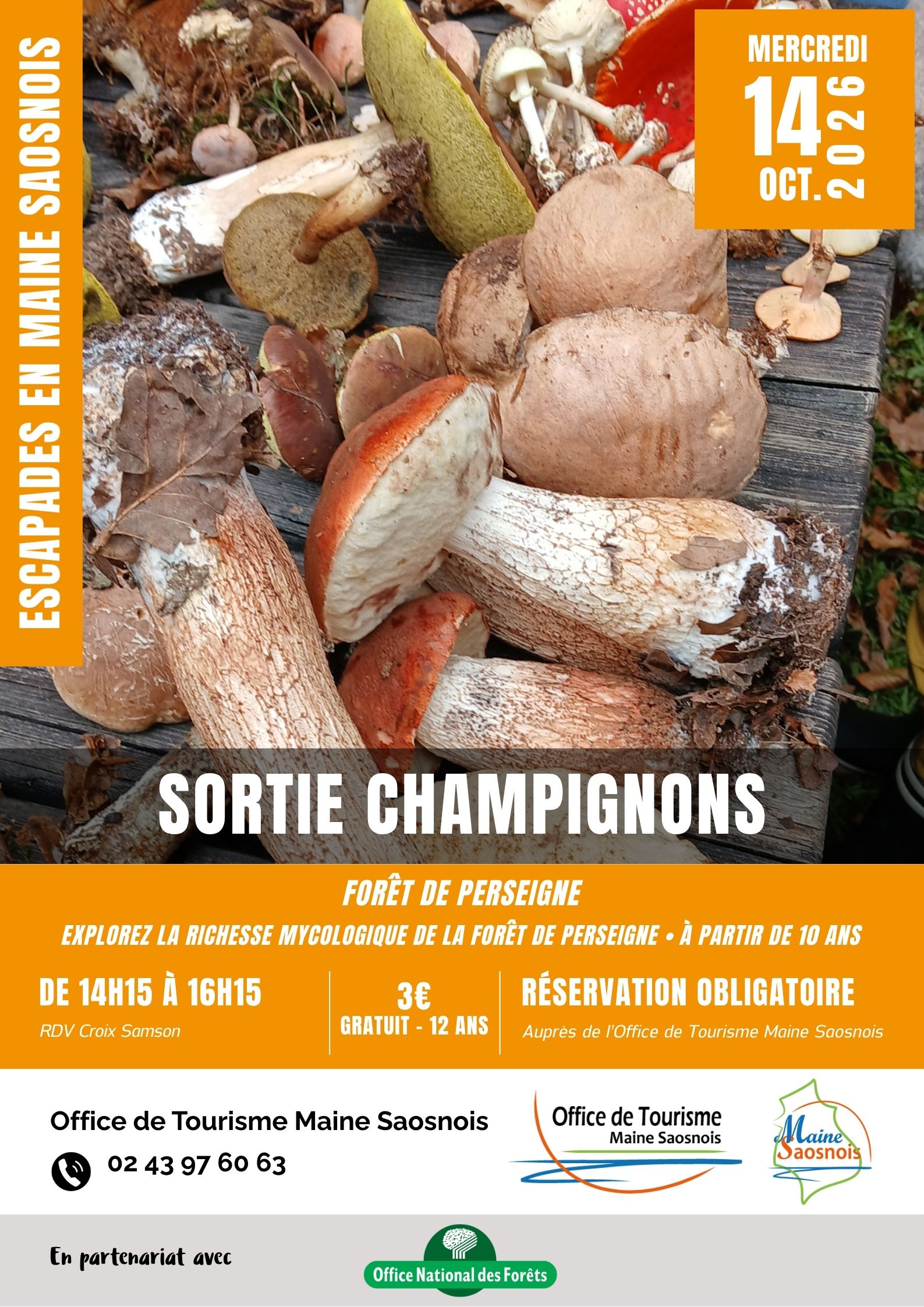 Escapades en Maine Saosnois : Sortie champignons