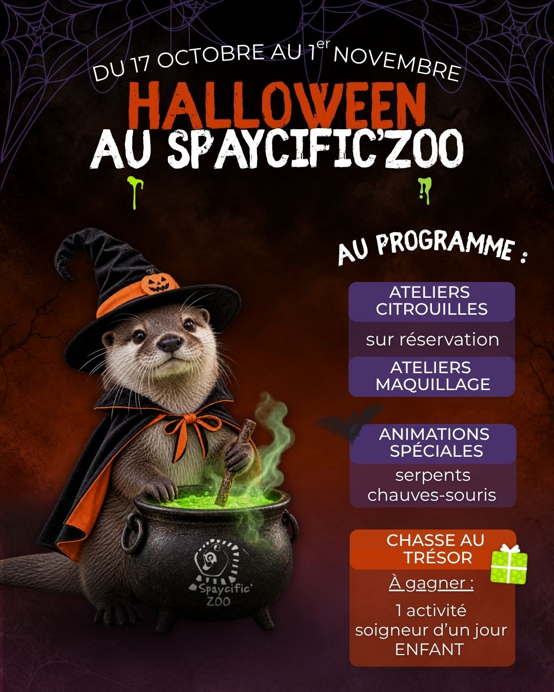 Spaycific’Zoo / Zoodéfis