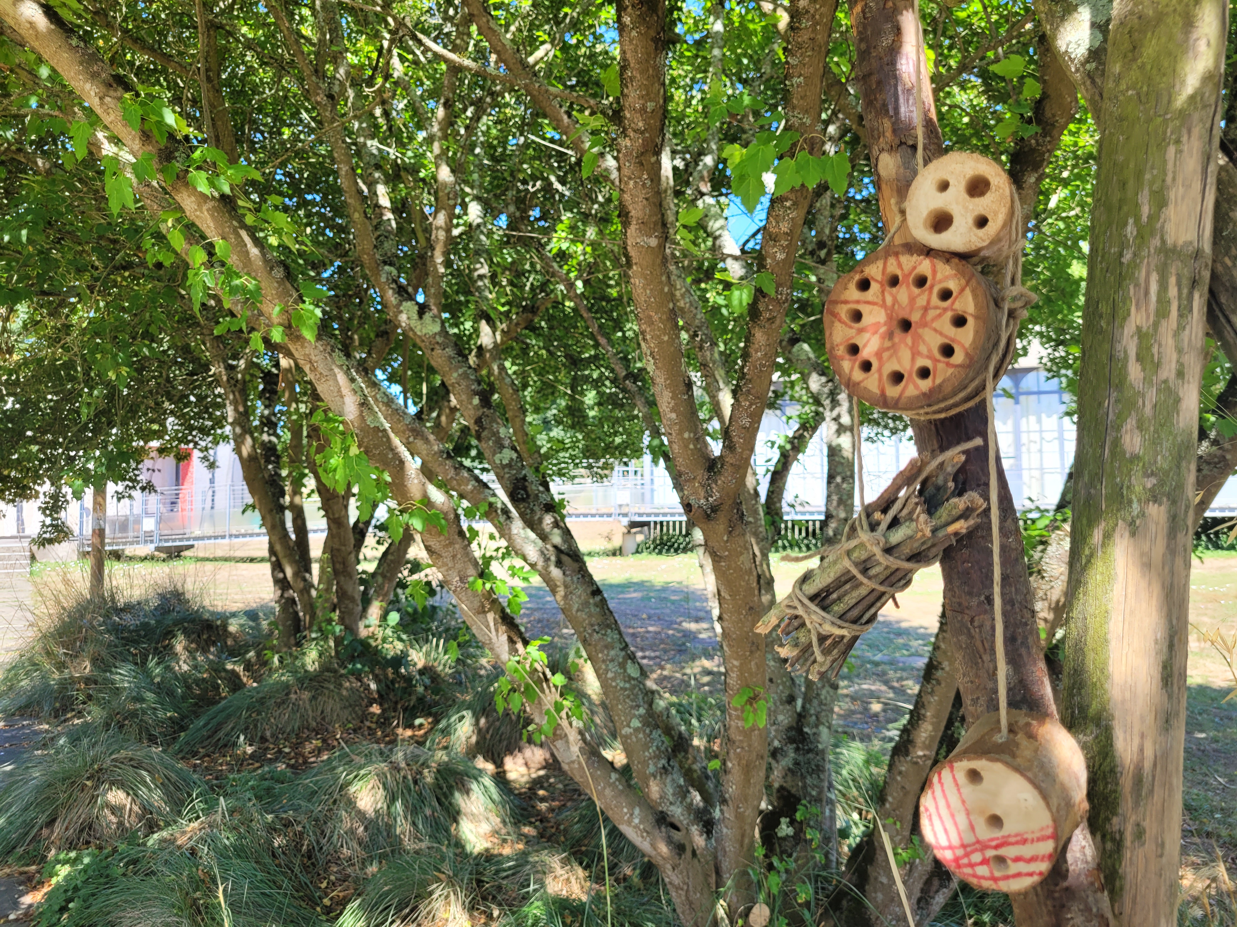 Atelier « Un hôtel pour les insectes 3-6 ans «