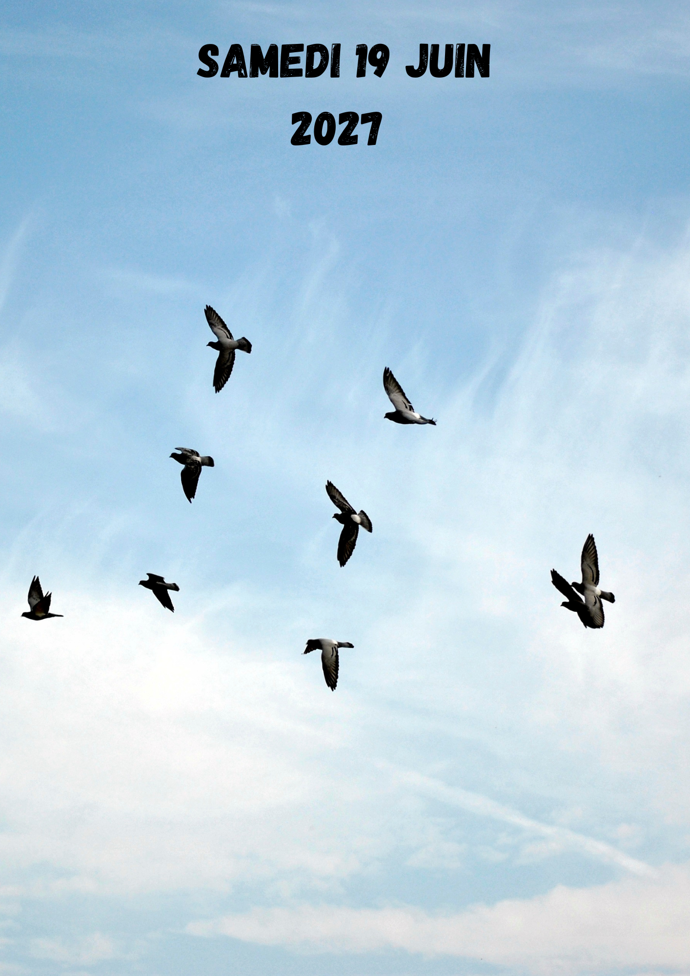 conférence »la vocalisation des oiseaux »