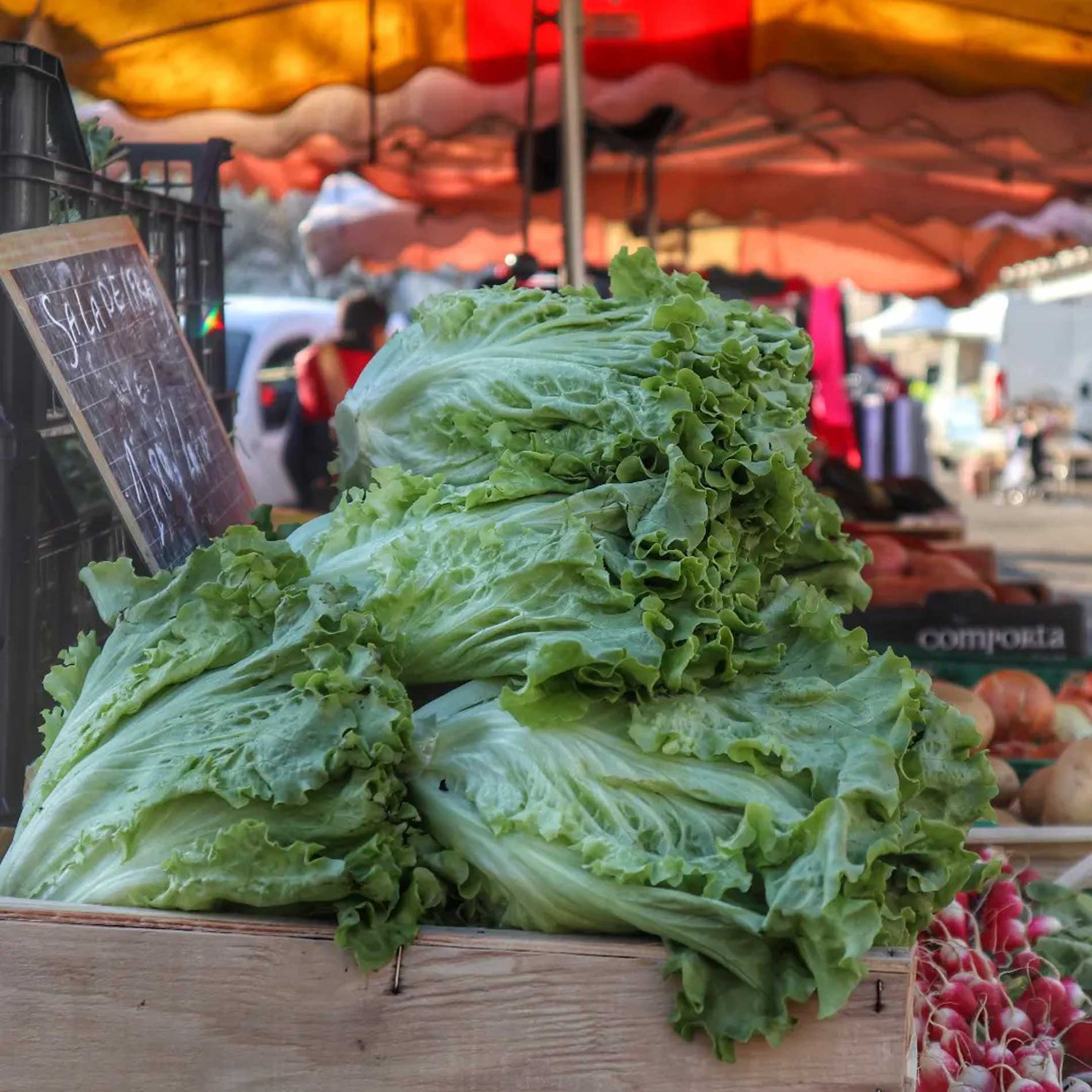 Marché le samedi matin à Précigné