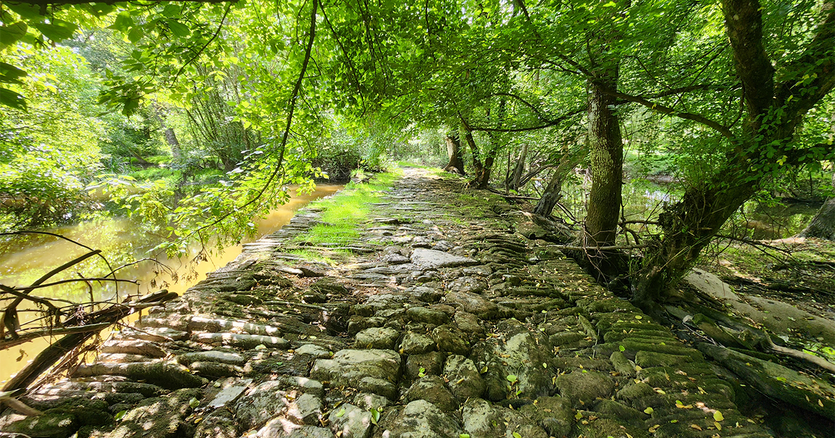 Marsac-sur-Don - Voie romaine