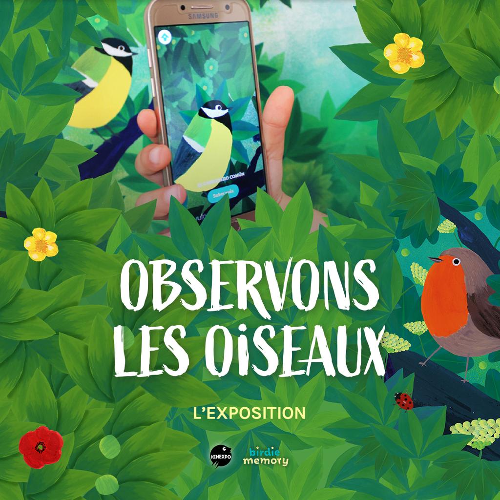 Exposition "Observons les Oiseaux" à Beaufort-en-Vallée Du 1 oct au 14 déc 2024