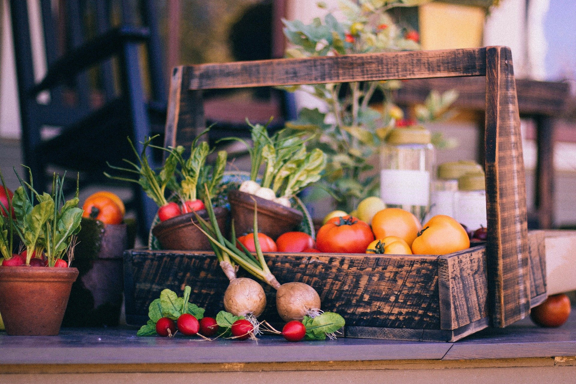 MARCHÉ DU TERROIR À CHÂTEAUNEUF-SUR-SARTHE