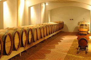 AGUILAS DOMAINE GAUDARD, CHAUDEFONDS-SUR-LAYON