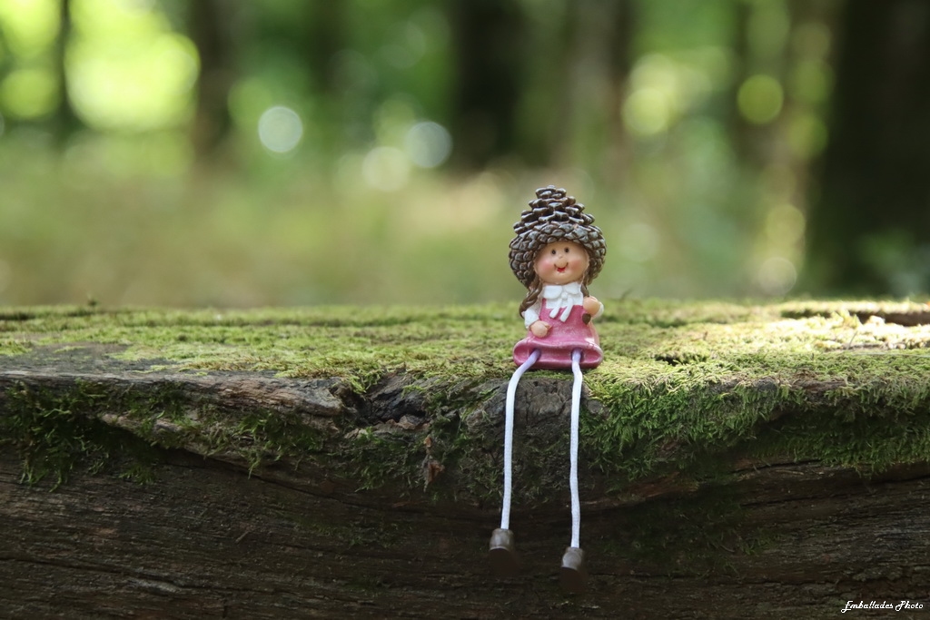 Balade photo "Spécial scénettes" dans le parc de Beaupreau