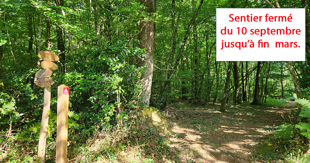Sentier des Gabelous - Juigné des Moutiers