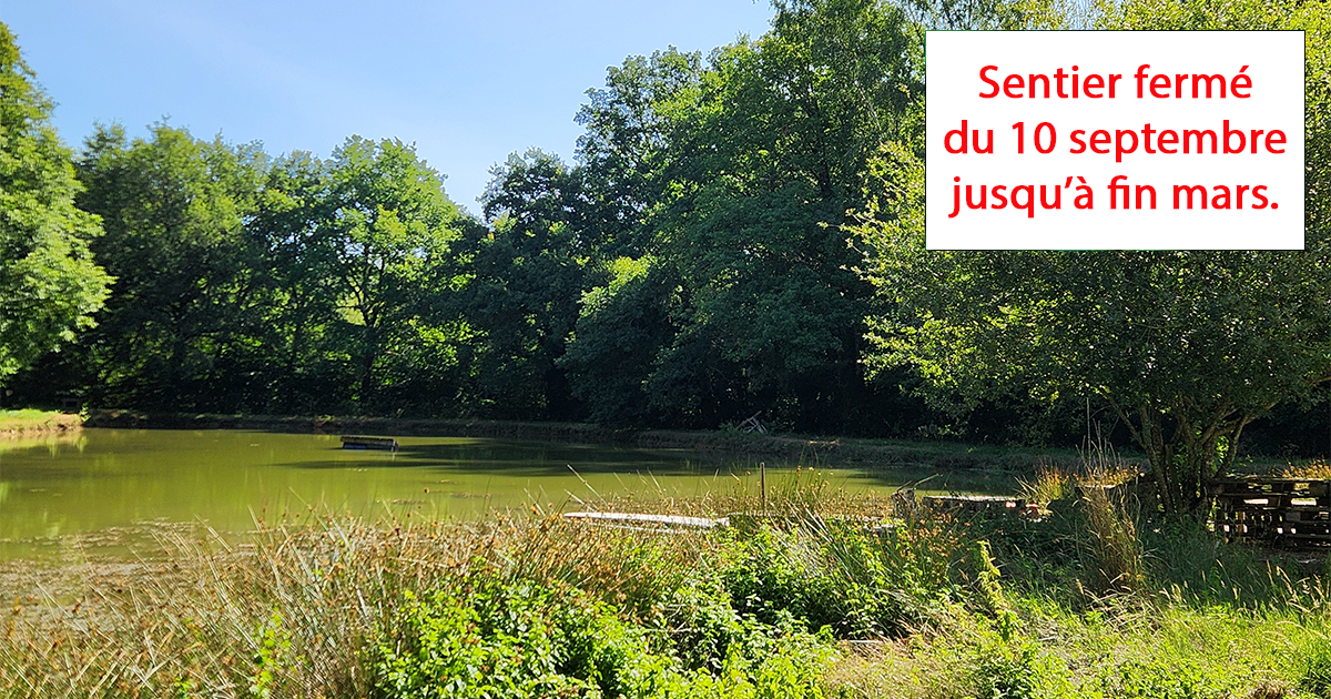 Sentier  des Loges - Juigné des Moutiers