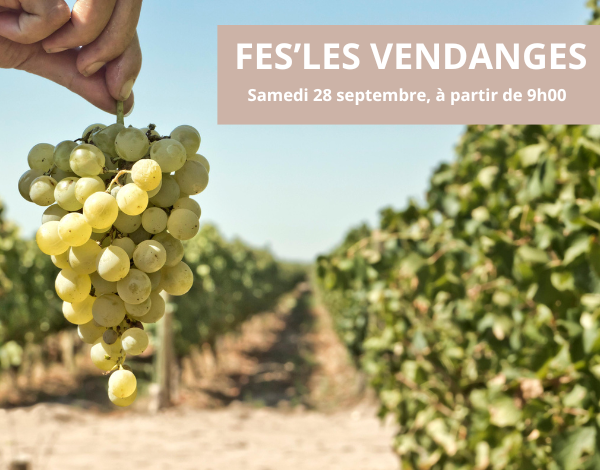 CHÂTEAU DE FESLES - JOURNÉE VENDANGES Le 28 sept 2024