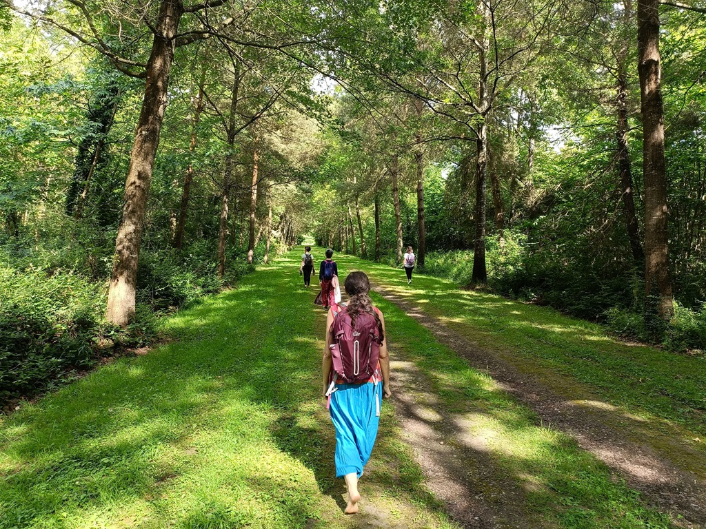 Bain de forêt et de sons au parc du Château du Martreil