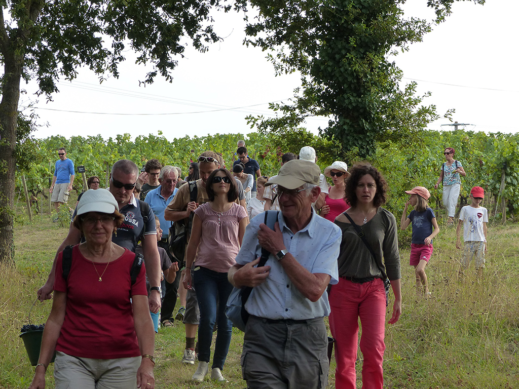 MUSEE DE LA VIGNE ET DU VIN D'ANJOU, VAL-DU-LAYON