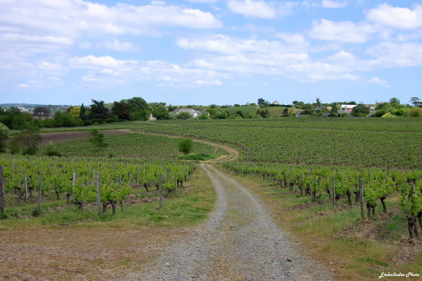 BALADE PHOTOGRAPHIQUE "ENTRE VIGNES ET MINES, SUR LE SITE DES... Le 21 oct 2024