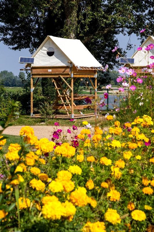 CAMPING L'ISLE VERTE, MONTSOREAU