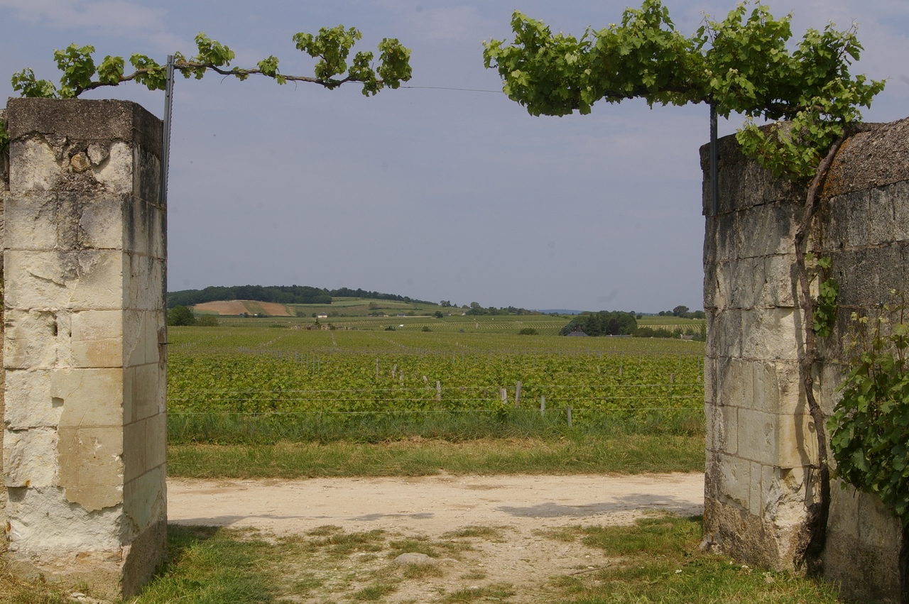 CHÂTEAU DE PARNAY, PARNAY
