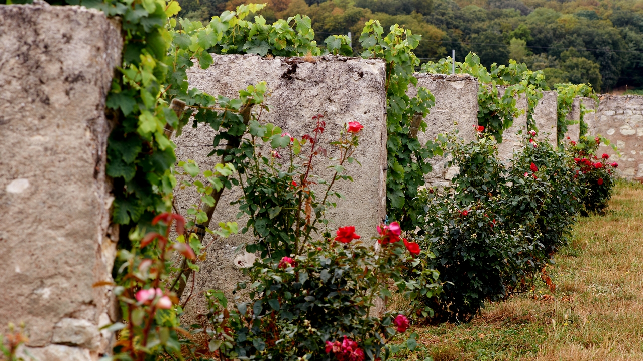 CHÂTEAU DE PARNAY, PARNAY