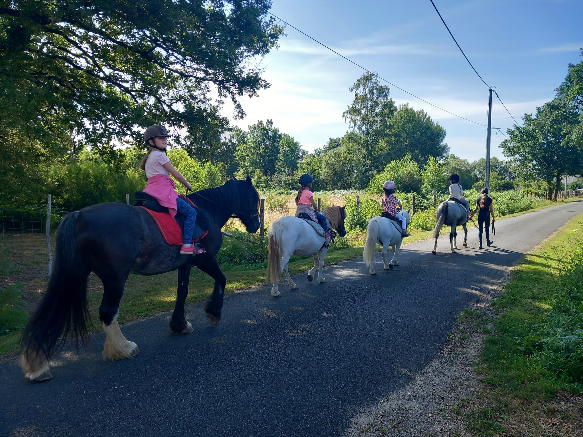 Balades à cheval et autres activités équestres de loisirs avec le