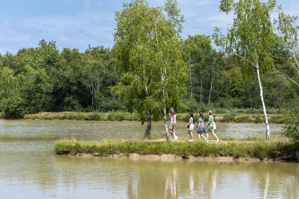 P che L tang Des Bruy res Au Fuilet MONTREVAULT SUR EVRE Anjou p-che-l-tang-des-bruy-res-au-fuilet-montrevault-sur-evre-anjou