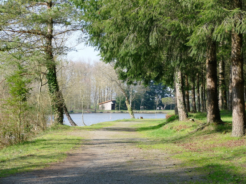 BALADE PHOTOGRAPHIQUE LES 6 CHÊNES DANS