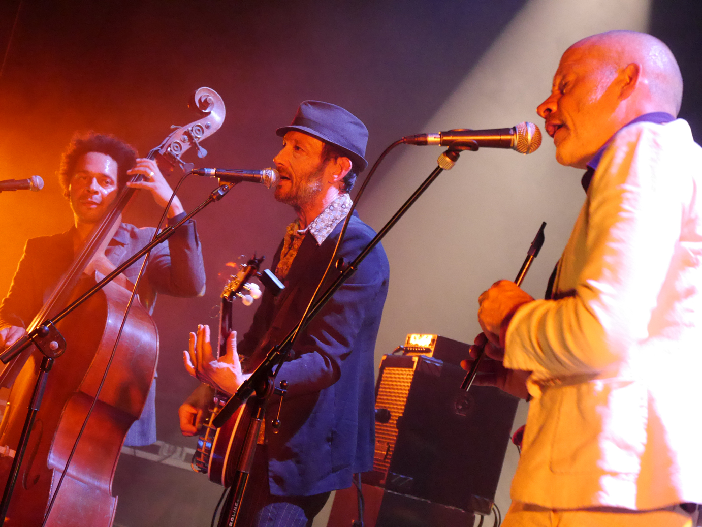 CONCERT DE MUSIQUE CALYPSO MENTO JAMAÏCAN GROOVE À BLAISON-SAINT-SULPICE
