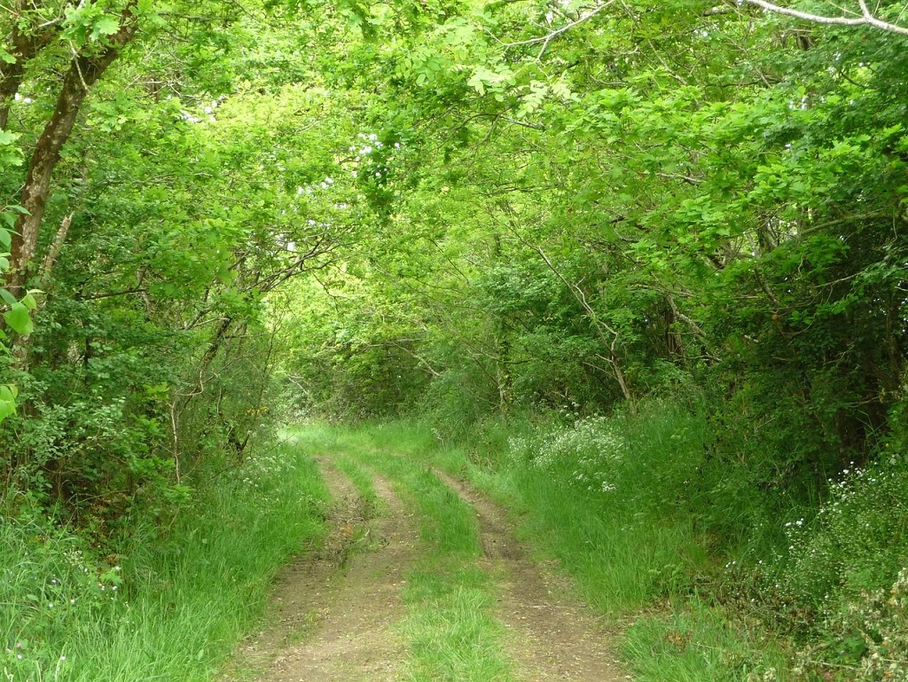 Randonnée des coteaux à la Pommeraye Le 22 sept 2024