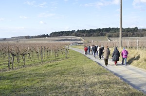 RANDONNÉE PÉDESTRE DANS LE VIGNOBLE AVEC LE CLOS DES CORDELIERS
