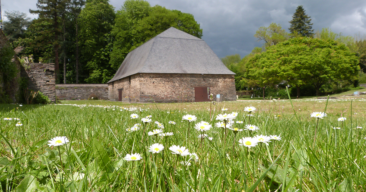 sentier du Prince Moisdon