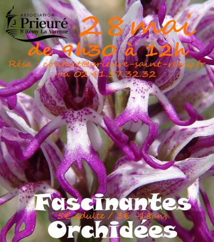 SORTIE NATURE « FASCINANTES ORCHIDÉES » AU PRIEURÉ DE SAINT-RÉMY-LA-VARENNE