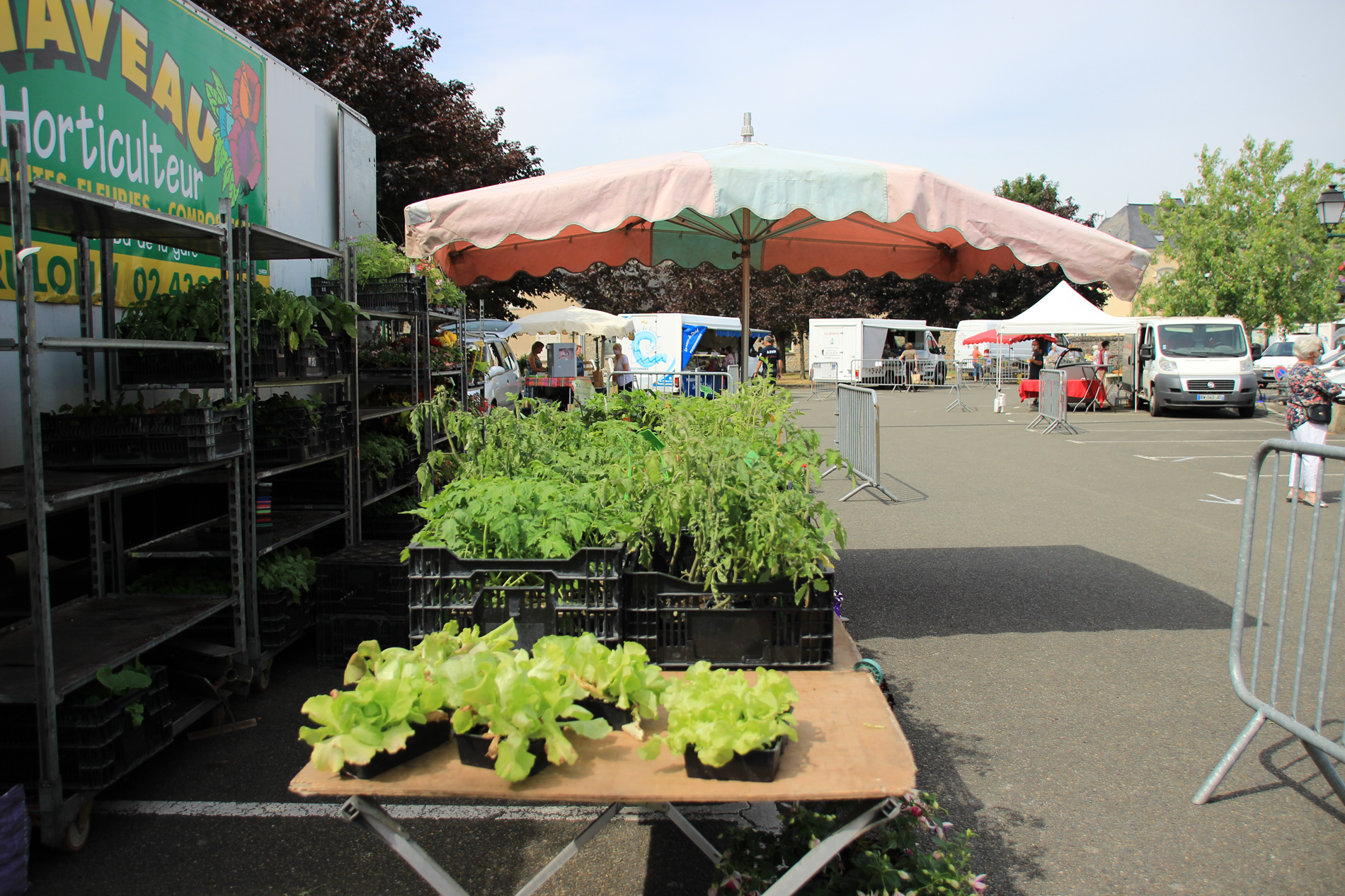 Marché le mercredi matin à Solesmes