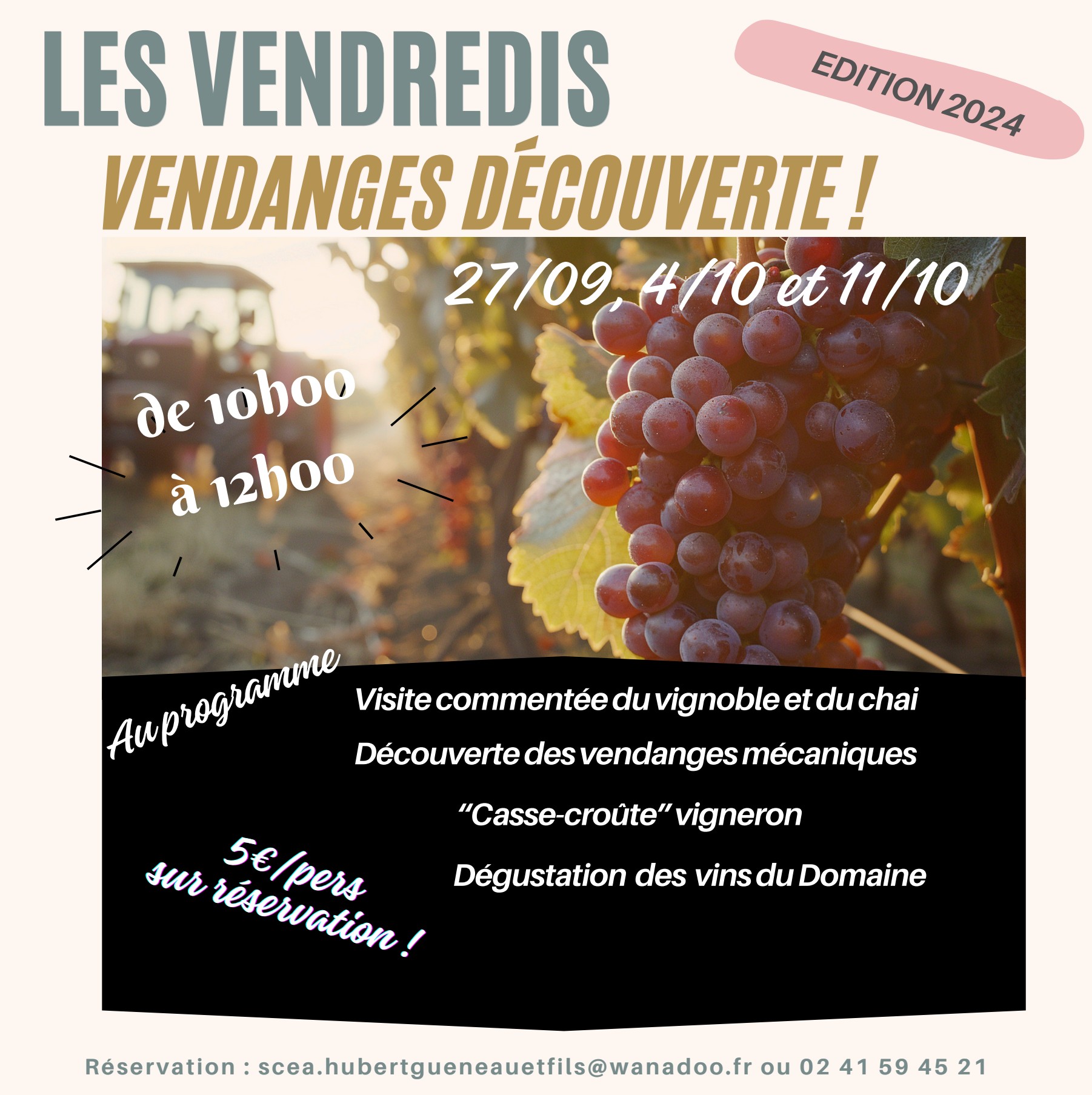 LES VENDREDIS VENDANGES DÉCOUVERTE