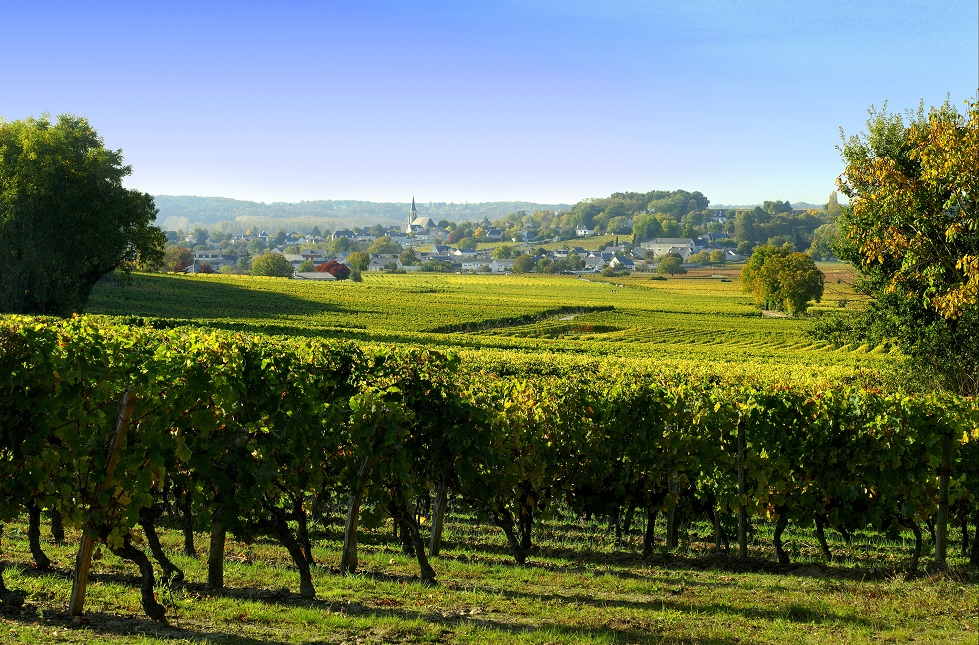 48 h au cœur du vignoble de Saumur, LE PUY-NOTRE-DAME